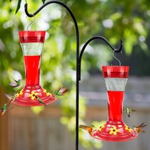4 Feeding Ports with Perch and Hanging Wire Gray Bunny Classic Hummingbird Feeder 32 oz Capacity. 