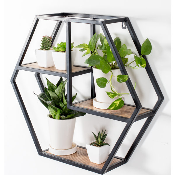 Hexagon Shelves Wayfair Hexagon Shelves Wayfair