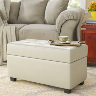 Go to store & view more images Red Barrel Studio Chesterhill Storage Ottoman