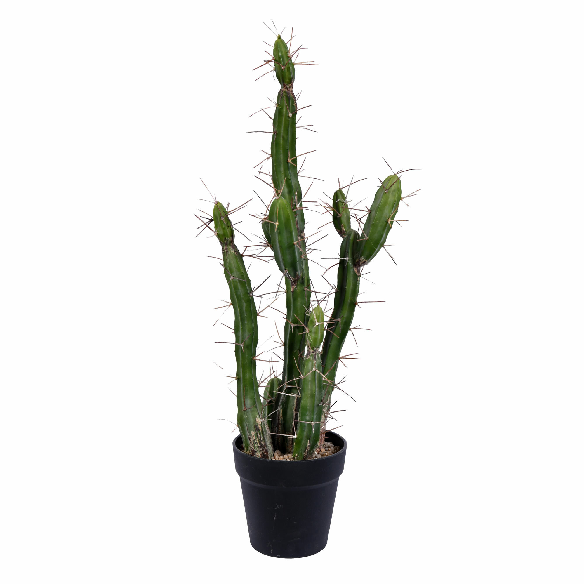 Union Rustic Artificial Cactus Plant In Pot Reviews Wayfair