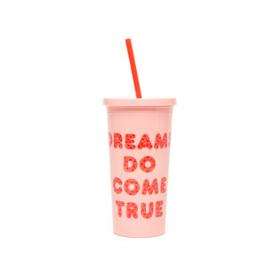 Acrylic Tumbler With Straw Wayfair