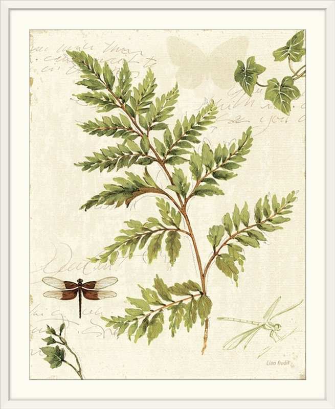 'Ivies and Ferns I' by Lisa Audit Graphic Art Print Size: 23" H x 20" W x 1" D, Format: White Framed