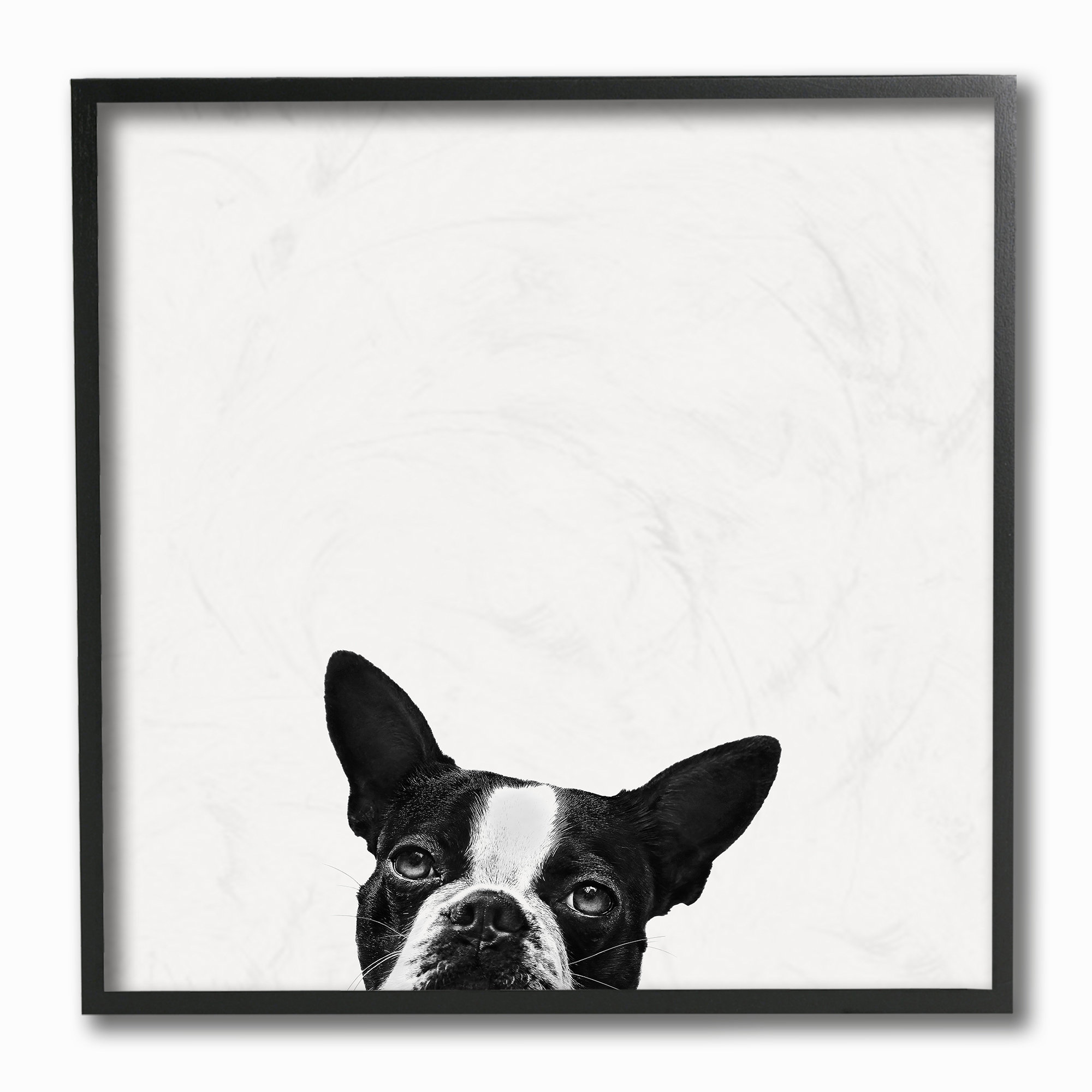 Winston Porter Minimal Monochrome Dog Peeking From Below By Jon Bertelli Photograph Print Wayfair