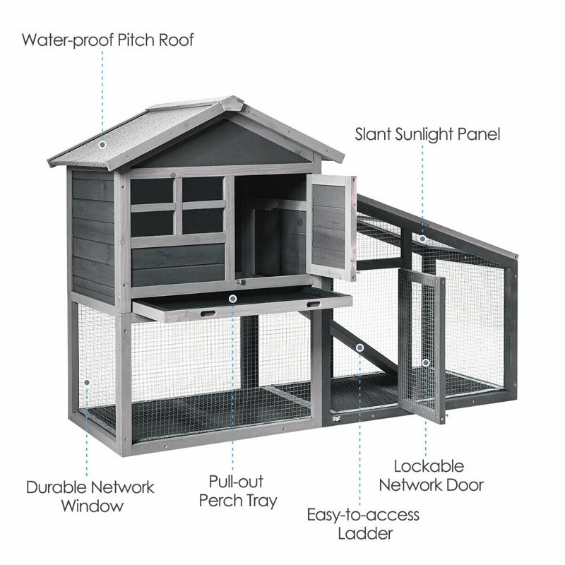 Tucker Murphy Pet Adora Walk In Chicken Coop With Chicken Run For Up To 2 Chickens Wayfair