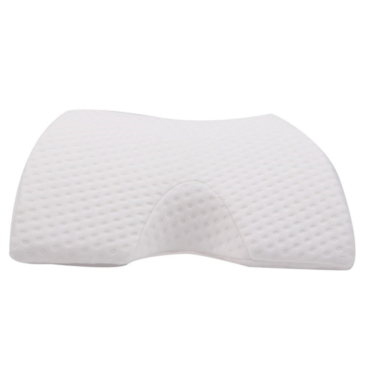 memory cotton pillow