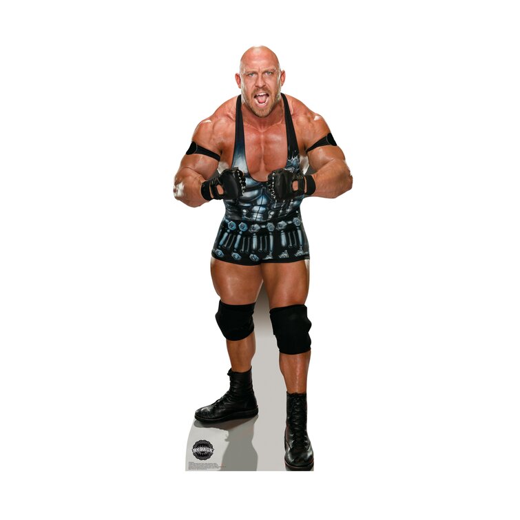 ryback vs the rock