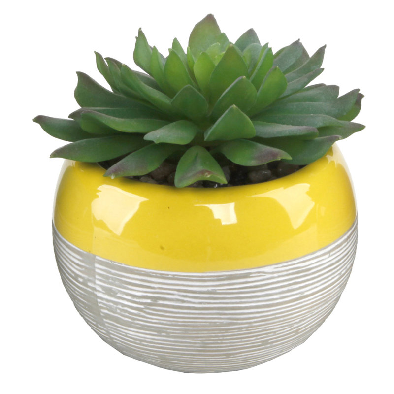 2 Tone Md Desktop 2 Artificial Succulent Plant In Pot Reviews