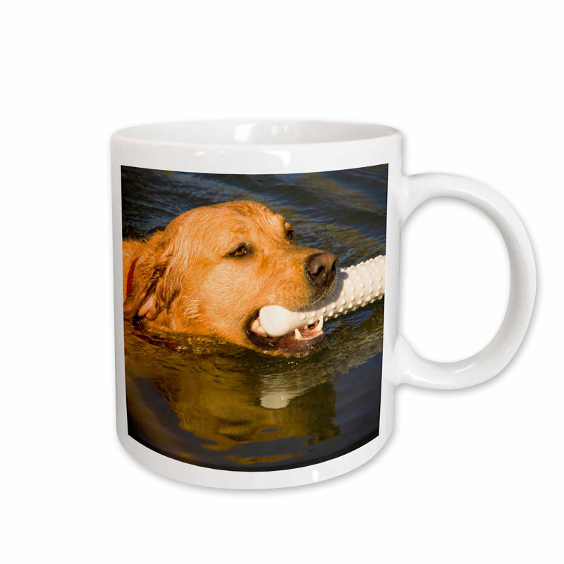yellow lab coffee mug