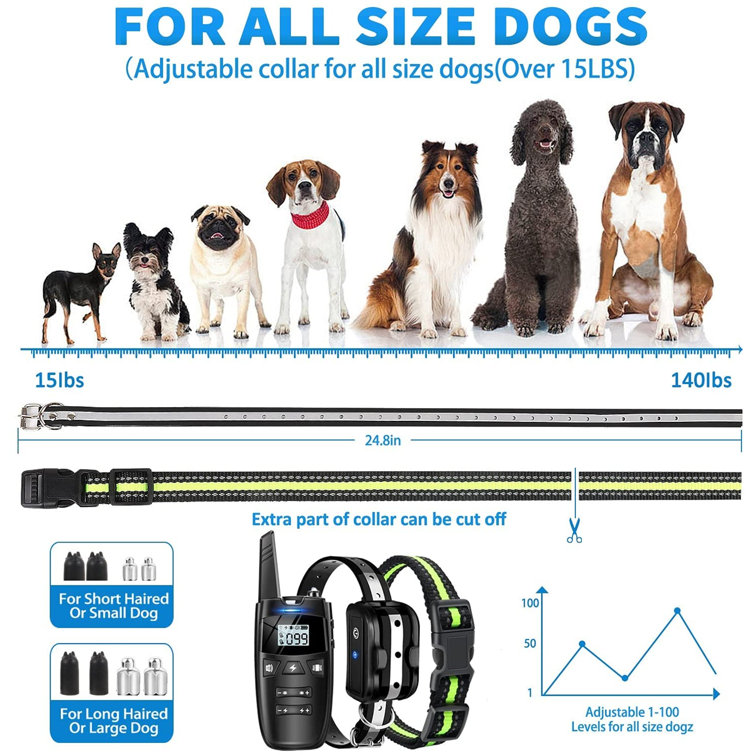 large dog shock collar