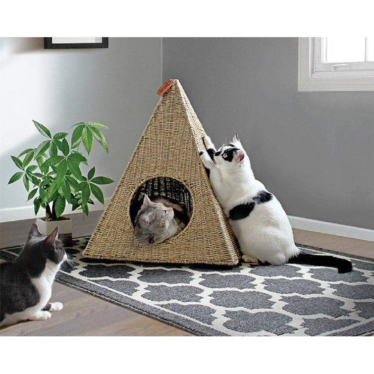 pyramid cat bed