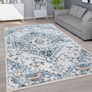 Grey Oriental Rug Small Extra Large Shabby Chic New Carpet Lounge Room Floor Mat 