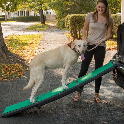 pet gear travel lite ramp