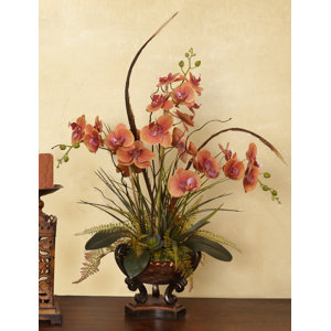Phalaenopsis with Feathers Orchid Floral Arrangement in Vase