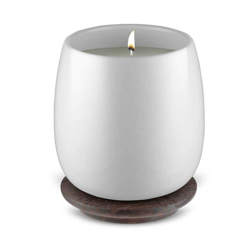 Alessi 5 Seasons Sparkling Ice Scented Jar Candle Wayfair