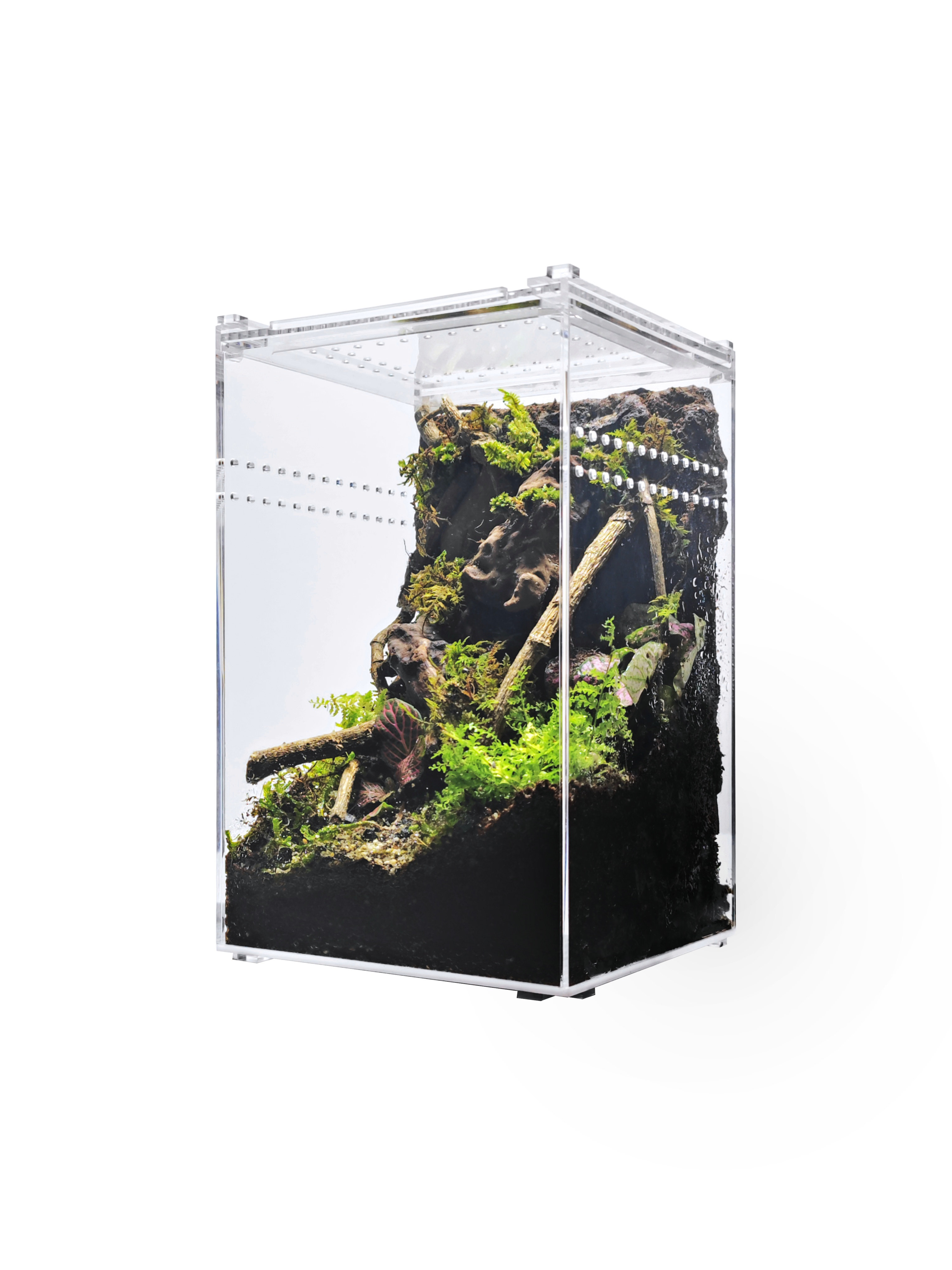 HerpCult x Acrylic Reptile Terrarium | Wayfair