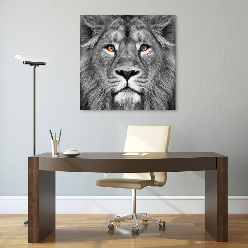 Orren Ellis King Of The Jungle Lion Photographic Print On Glass