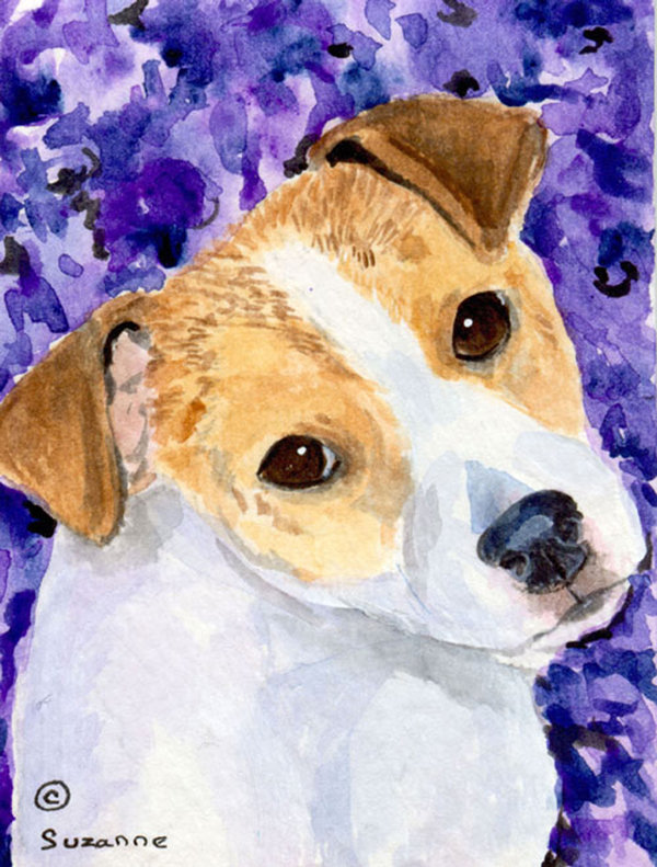yellow jack russell terrier