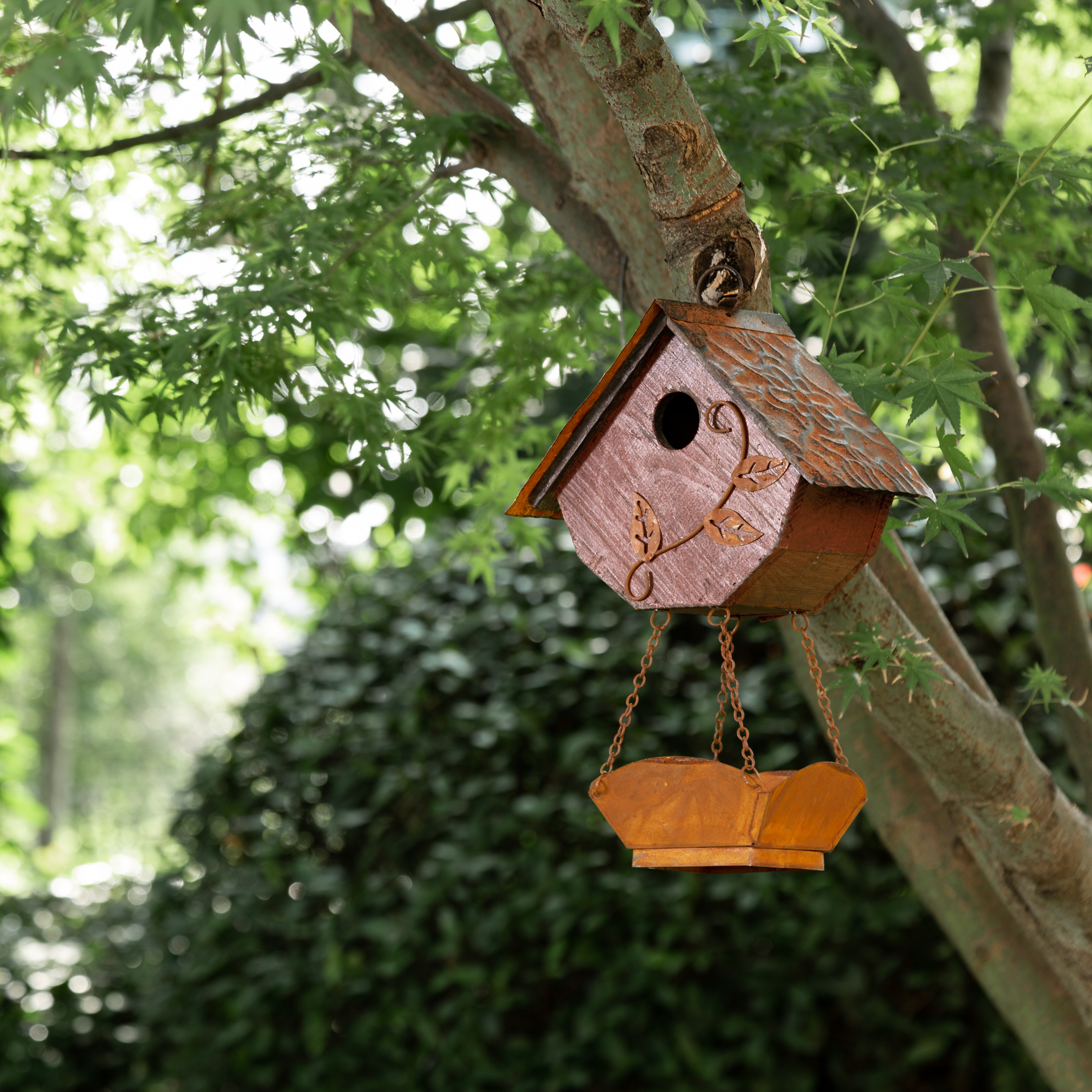 August Grove Papachan Hanging 13 In X 9 In X 5 In Birdhouse Reviews Wayfair
