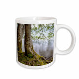 Lake Crescent Wayfair