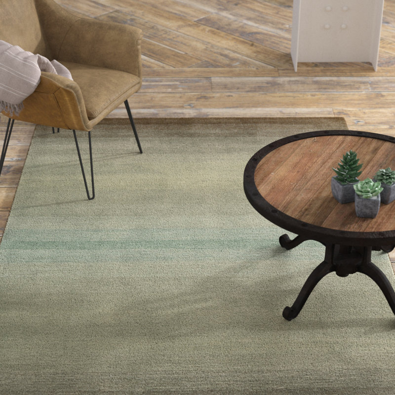 Ollies Carpet Shampooers Review Home Decor