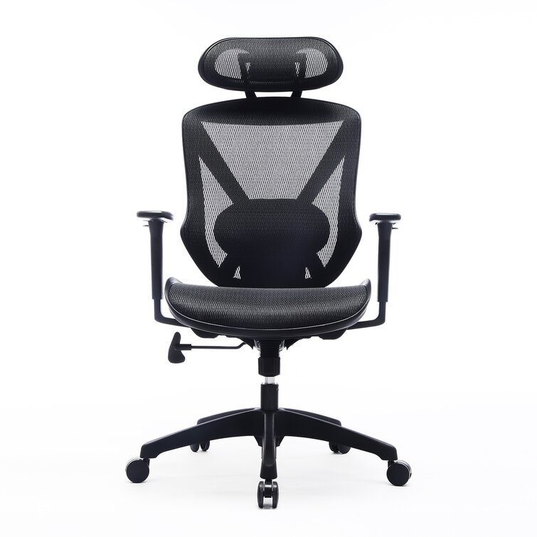 Inbox Zero Office Ergonomic Mesh Desk Chair | Wayfair.co.uk