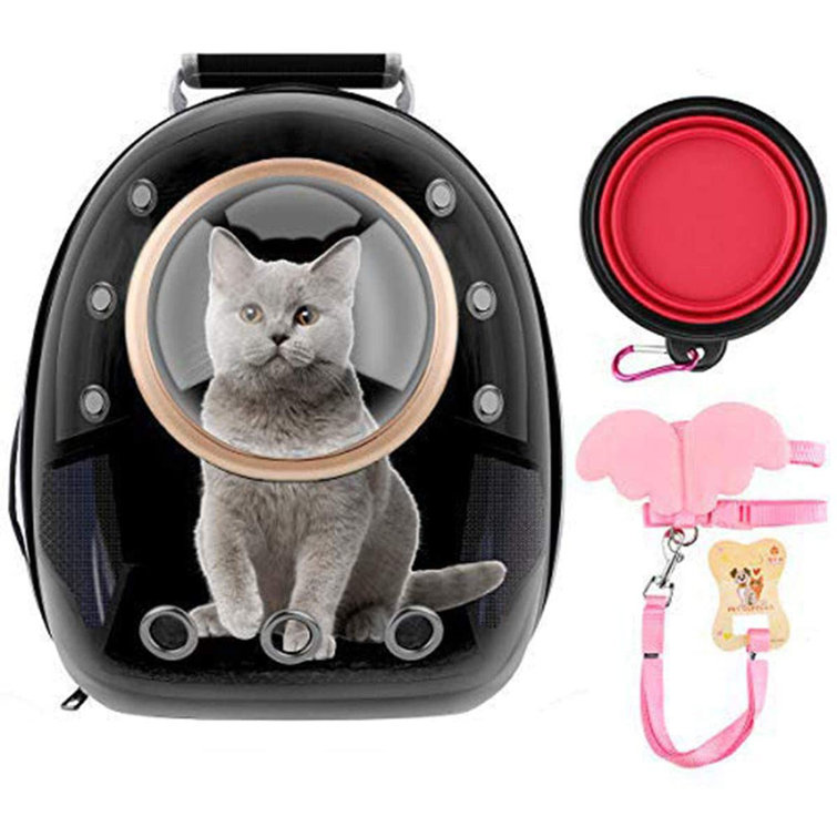 cat globe backpack