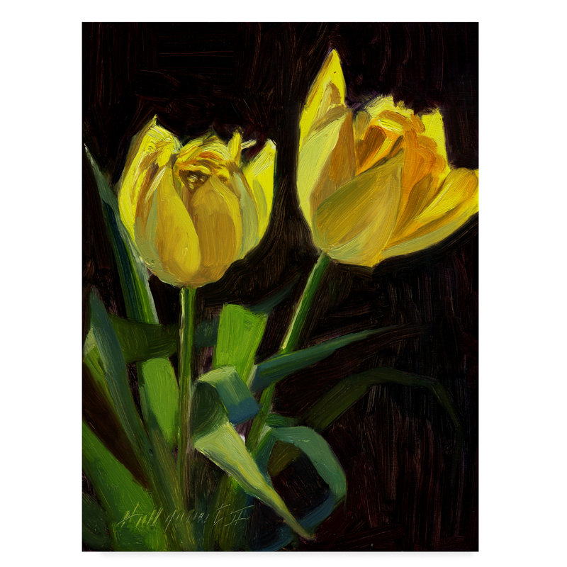 Trademark Art Yellow Tulips Black Acrylic Painting Print On