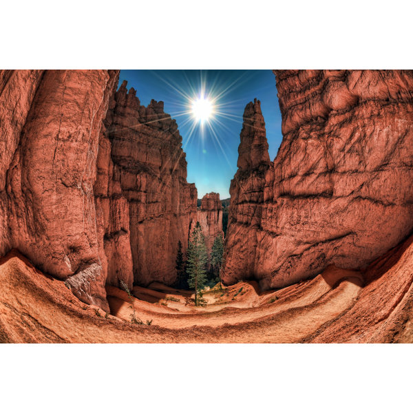 Hadleyhouseco Navajo Loop Switchbacks Bryce Canyon Np Ut By Sean Mcgrath Photographic Print On Canvas Wayfair