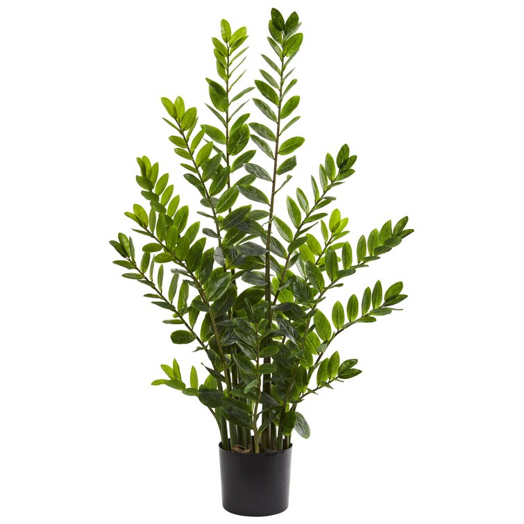 Charlton Home® Artificial Zamioculcas Foliage Plant in Pot & Reviews ...