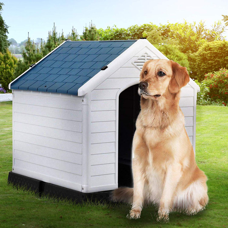 ferplast dog house