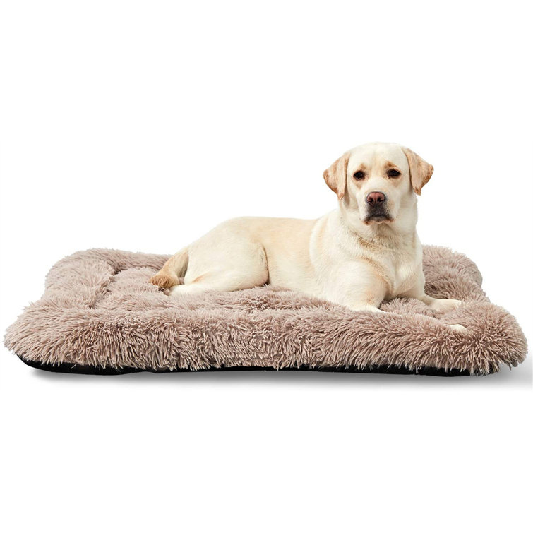 large dog bed size
