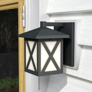 Roundtree 1-Light Outdoor Wall Lantern