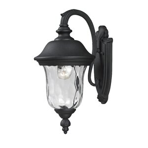 Cashwell Outdoor Wall Lantern