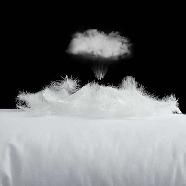 Royal hotel down pillows