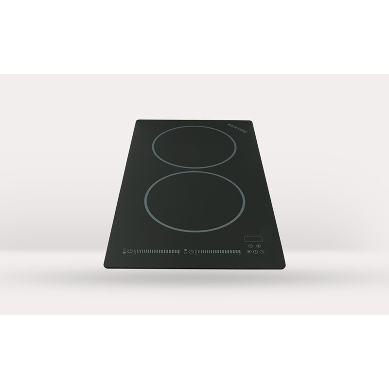 Kenyon Bridge 21" Induction Cooktop with 2 Burners Wayfair