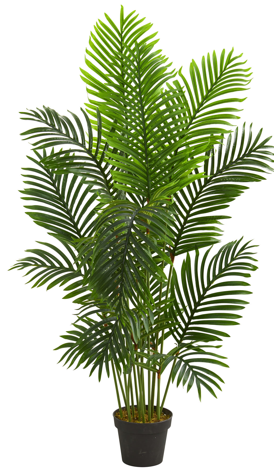 Bay Isle Home 60'' Faux Palm Tree in Planter Wayfair