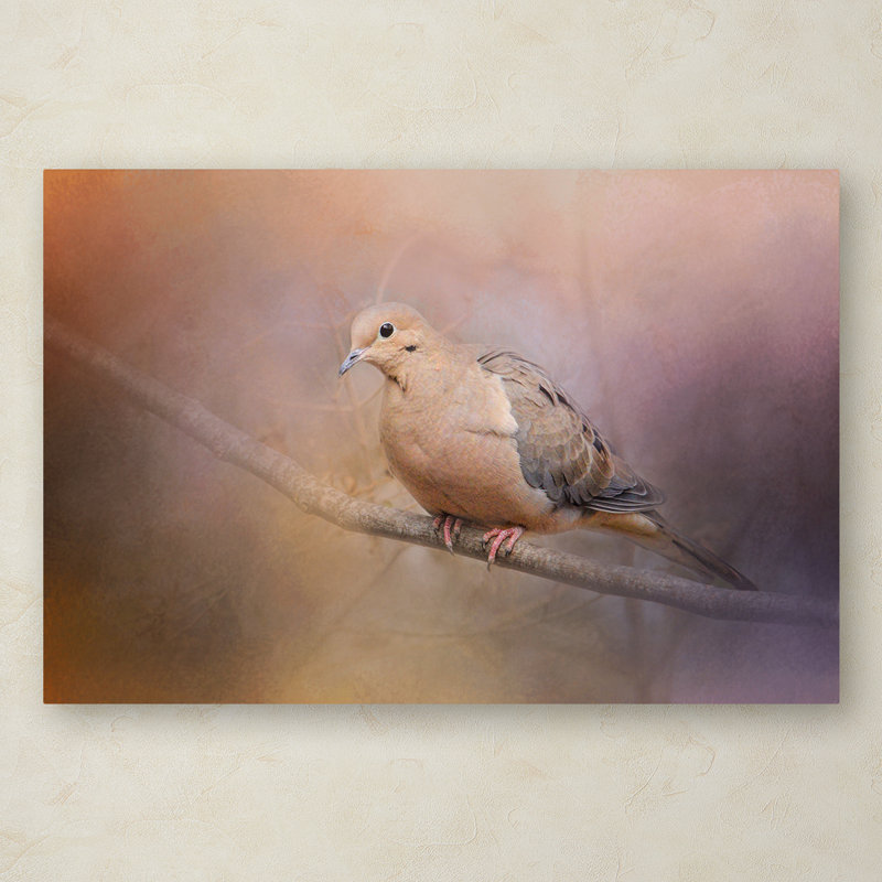Trademark Art Mourning Dove On A Winter Evening Graphic Art