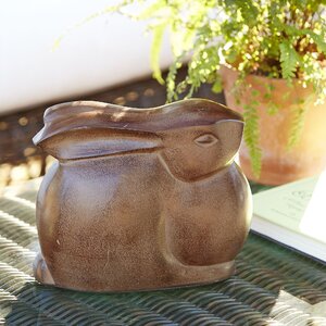 Bronze Moon Bunny