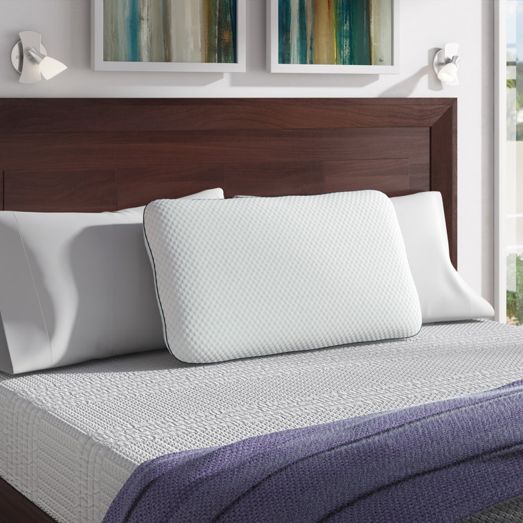 Wayfair Sleep Memory Foam Medium Support Pillow