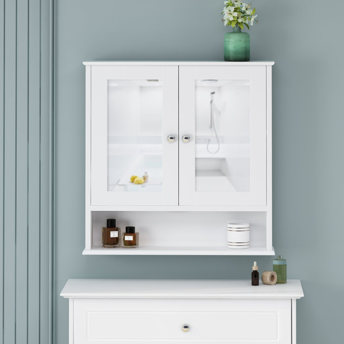 Galen Surface Mount Framed 2 Door Medicine Cabinet With Shelves