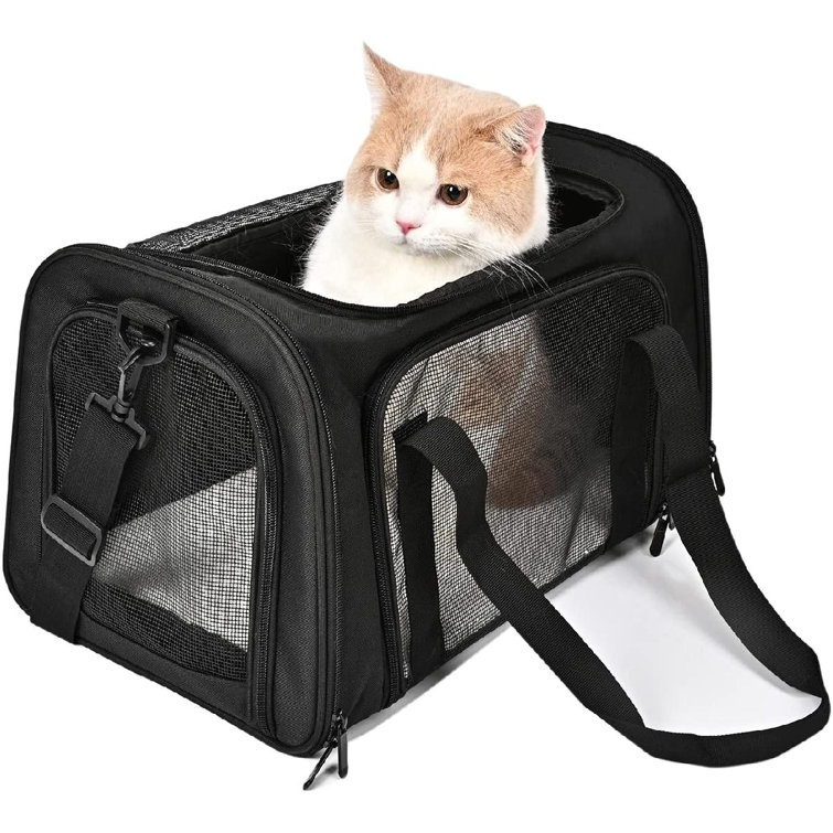 medium cat carrier