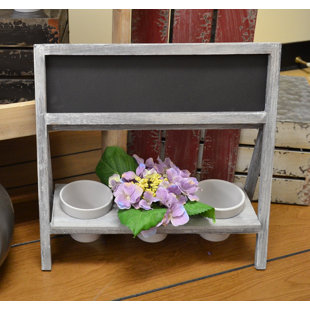 Chalk Pots Wayfair