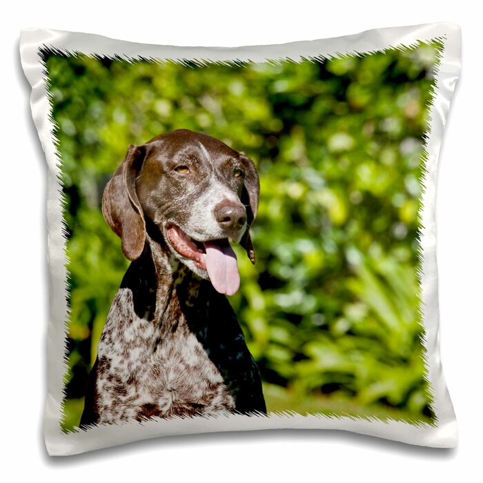 East Urban Home German Shorthaired Pointer Dog Pillow Cover Wayfair