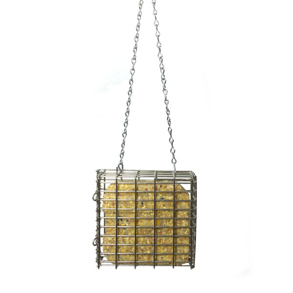 Stainless Steel Squirrel Feeder Wayfair