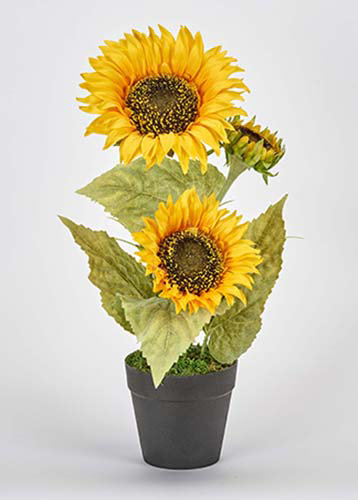 August Grove Flowering Plant With 3 Sunflower Heads In Pot Reviews Wayfair