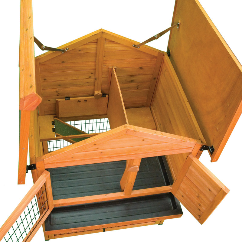 rabbit hutch stairs