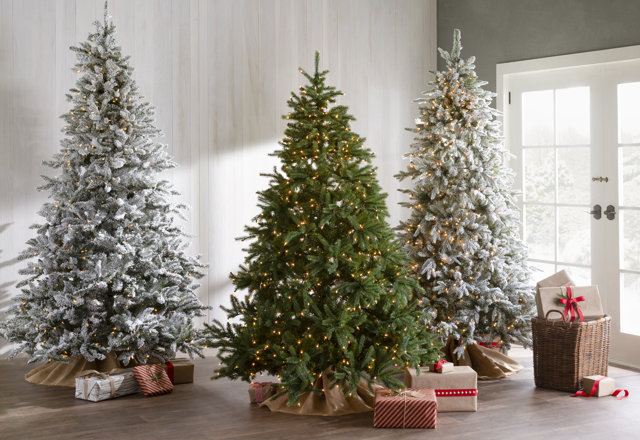 Our Favorite Holiday Trees