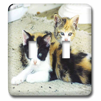 3drose Colorado Divide Cats 1 Gang Toggle Light Switch Wall Plate Wayfair