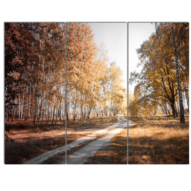 Designart Straight Road In Fall Birch Grove 3 Piece Photographic Print On Wrapped Canvas Set Wayfair