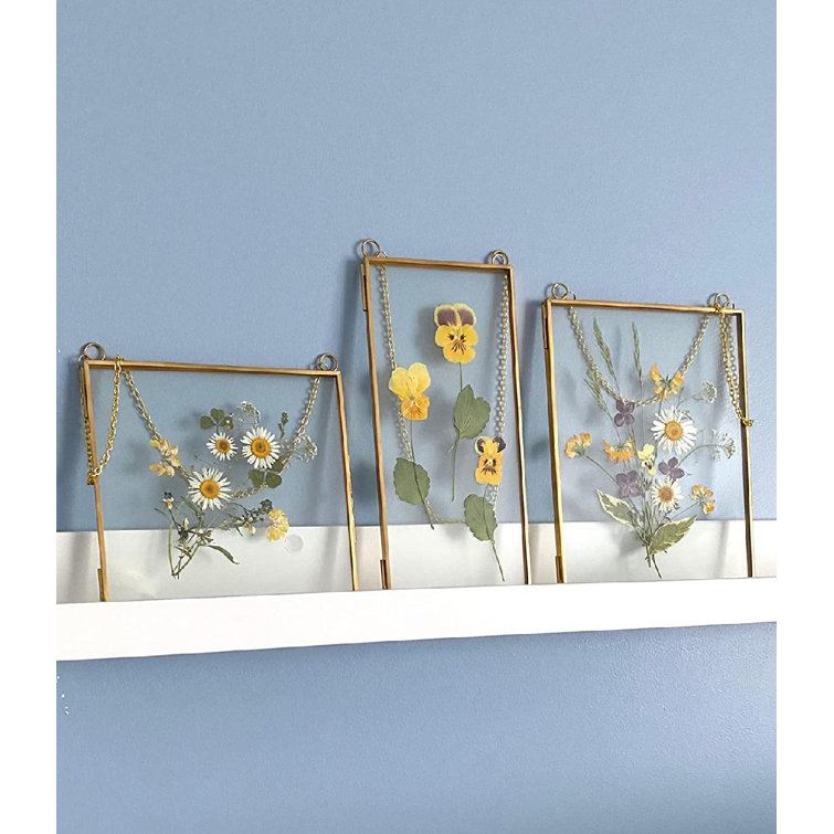 Everly Quinn Double Glass Frame For Pressed Flowers, Leaf And Artwork - Set  Of 3 Hanging Picture Frames, 6X6, 6X8, 4X9 Floating Pressed Flower Frames,  Square And Rectangular Wall Decor Photo Display,